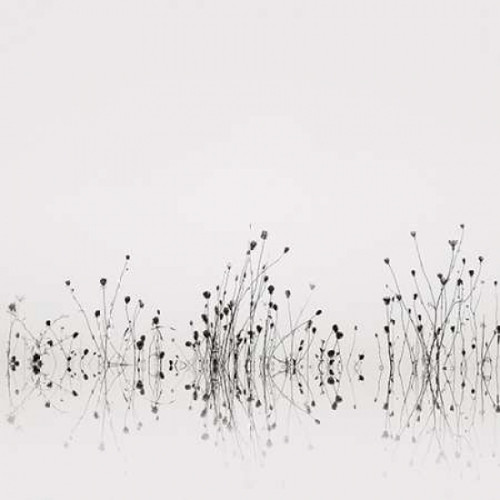 Reflections Poster Print by Nicholas Bell - Item # VARPDXB2938D