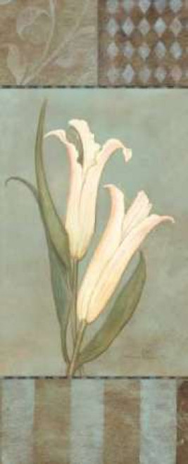 Lily Poster Print by Stephanie Marrott - Item # VARPDXSM369