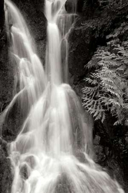 Falling Water I BW Poster Print by Douglas Taylor - Item # VARPDXPSTLR284