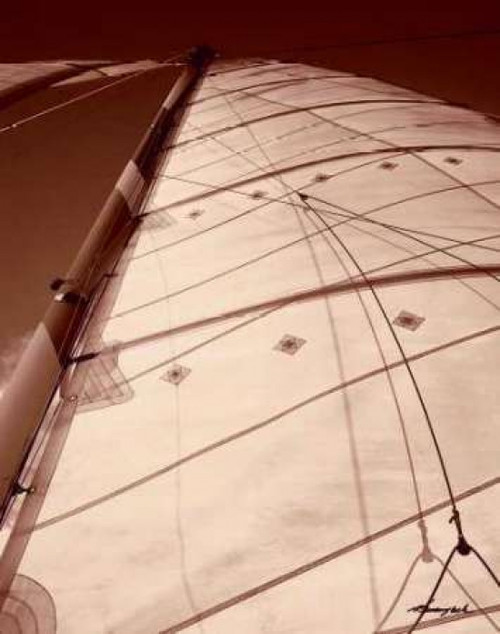 Windward Sail I Poster Print by Alan Hausenflock - Item # VARPDXHSF010