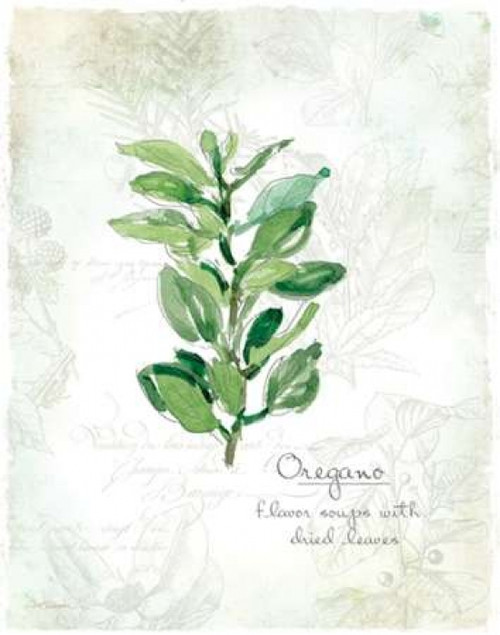 Fresh Oregano Poster Print by  Carol Robinson - Item # VARPDX17353