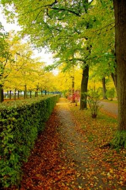 Wurzburg IV Poster Print by George Johnson - Item # VARPDXPSJSN193