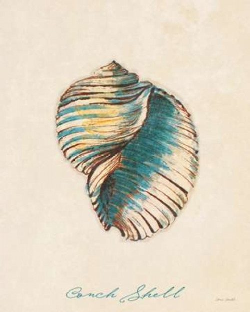 Conch Shell Poster Print by Lanie Loreth - Item # VARPDX8598TT
