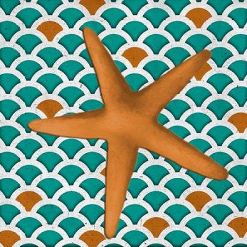 Patterned Shell II Poster Print by Elizabeth Medley - Item # VARPDX9342C