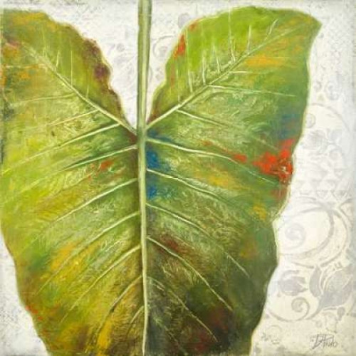 Mafafa I Poster Print by Patricia Pinto - Item # VARPDX8529