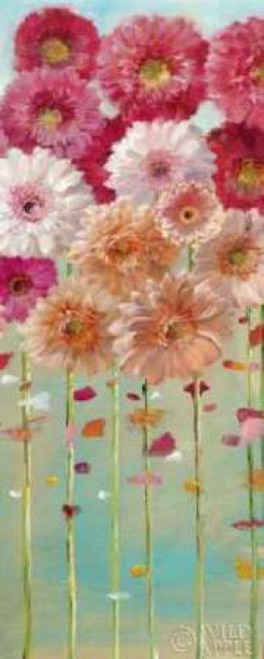 Daisies Spring I Poster Print by Danhui Nai - Item # VARPDX6238