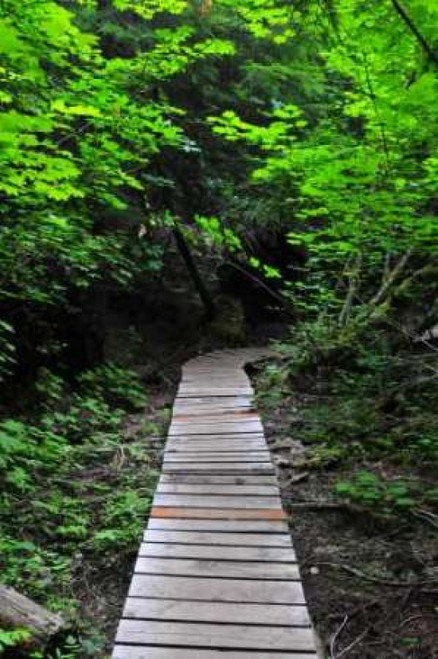 Afternoon Hike I Poster Print by Erin Berzel - Item # VARPDXPSBZL194