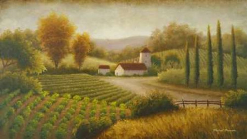 Vineyard In The Sun II Poster Print by Michael Marcon - Item # VARPDX6278
