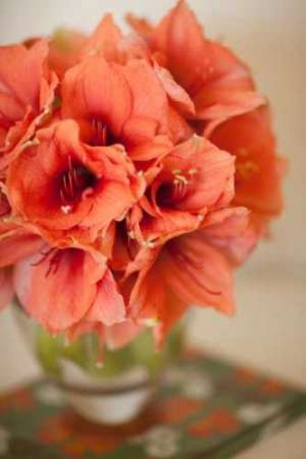 Peach Bouquet Poster Print by Karyn Millet - Item # VARPDXPSMLT247