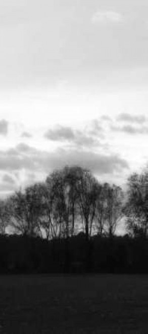 Winter Sunset BW III Poster Print by Alan Hausenflock - Item # VARPDXPSHSF1021