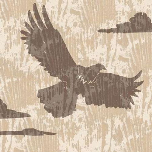 Spirit Lodge I Poster Print by Nicholas Biscardi - Item # VARPDX9666