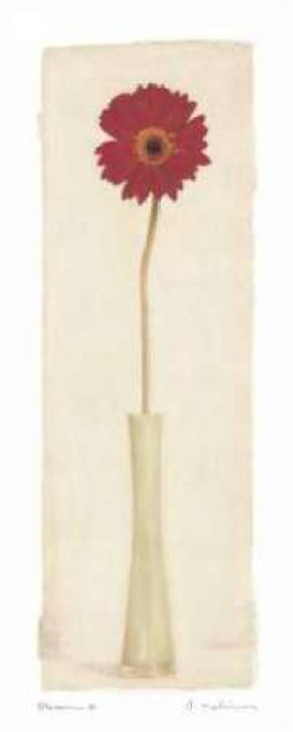 Blossom II Poster Print by Amy Melious - Item # VARPDXMEL192