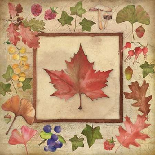 Maple of Fall 2 Poster Print by Stephanie Marrott - Item # VARPDXSM15402