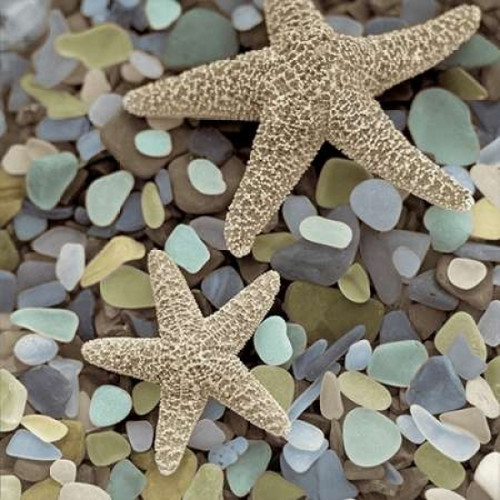 Crystal Harbor - 11 Poster Print by Alan Blaustein - Item # VARPDXABSHC273A