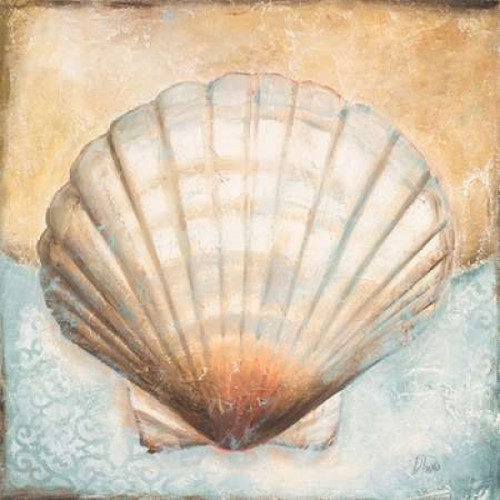 Seashell Collection III Poster Print by Patricia Pinto - Item # VARPDX9210
