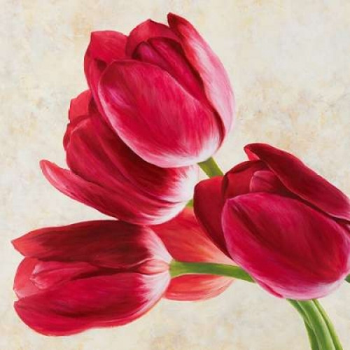 Tulip concerto Poster Print by Luca Villa - Item # VARPDX1LC1365