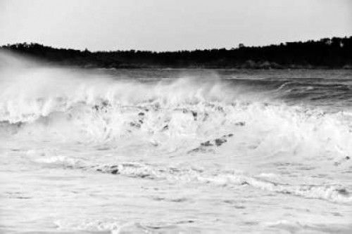 Carmel Waves I Poster Print by Lee Peterson - Item # VARPDXPSPSN190