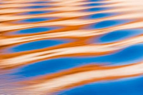 Electric Blue I Poster Print by Kathy Mahan - Item # VARPDXPSMHN273