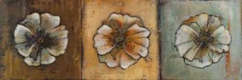 Celebration II Poster Print by Patricia Pinto - Item # VARPDX7071