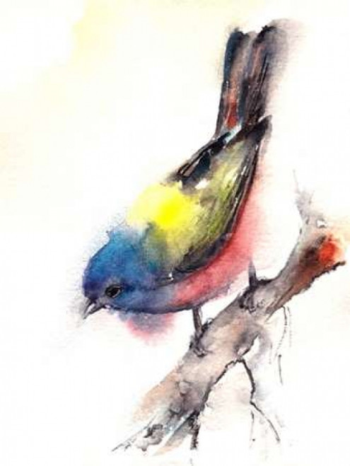 Bunting Bird Poster Print by  CanotStop - Item # VARPDXC1087D