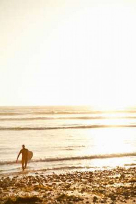 Tropical Oasis VI Poster Print by Karyn Millet - Item # VARPDXPSMLT290