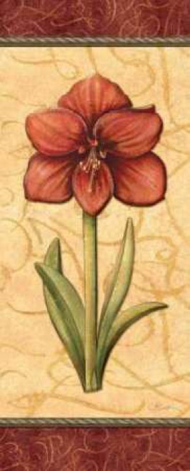 Red Passion Amaryllis Poster Print by Charlene Audrey - Item # VARPDXAUD096