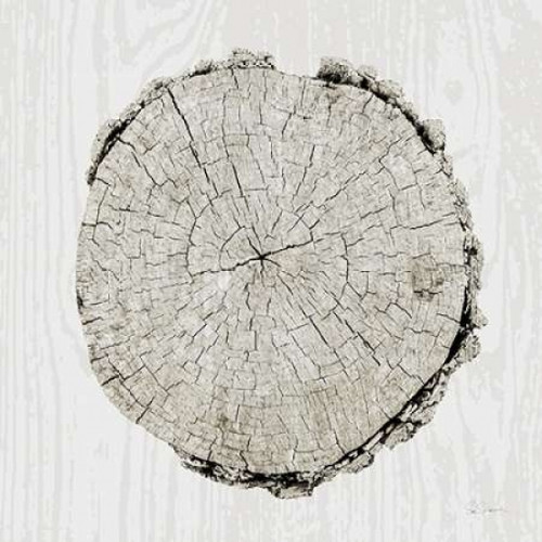 Woodland Years II Poster Print by Sue Schlabach - Item # VARPDX21824