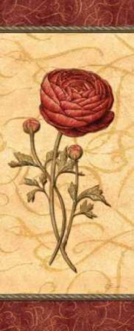 Red Passion Renonculus Poster Print by Charlene Audrey - Item # VARPDXAUD097