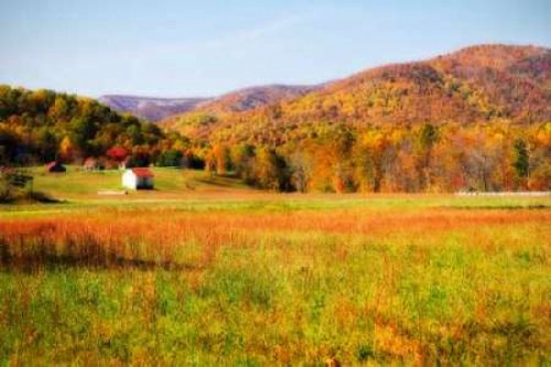 Autumn Fields I Poster Print by Alan Hausenflock - Item # VARPDXPSHSF935