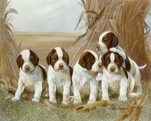 Belles Pups Poster Print by Ruane Manning - Item # VARPDX8508C