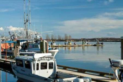 Steveston Scenic III Poster Print by Dana Styber - Item # VARPDXPSSTY158