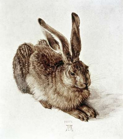 The Young Hare Poster Print by  Albrecht Durer - Item # VARPDX281998