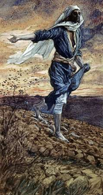 The Parable of the Sower Poster Print by  James Jacques Tissot - Item # VARPDX282936