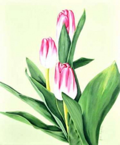 Three Tulips Poster Print by Jane Segrest - Item # VARPDXJS5005