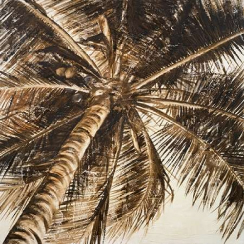 Coconut Palm II Poster Print by Patricia Pinto - Item # VARPDX9306