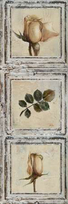 Flowers and Leaves III Poster Print by Patricia Pinto - Item # VARPDX6485