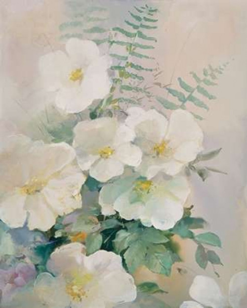 Shiny II Poster Print by Willem Haenraets - Item # VARPDXWH199903