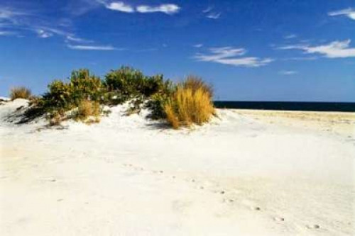 Assateague Beach III Poster Print by Alan Hausenflock - Item # VARPDXPSHSF489