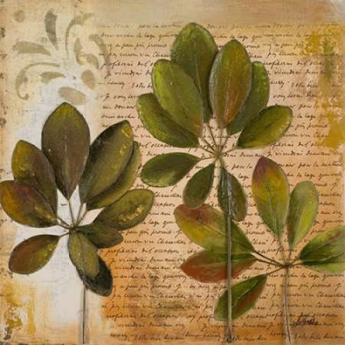 Botanica I Poster Print by Patricia Pinto - Item # VARPDX7648