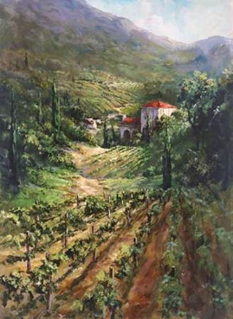 Tuscany Vineyard Poster Print by Art Fronckowiak - Item # VARPDXF497D