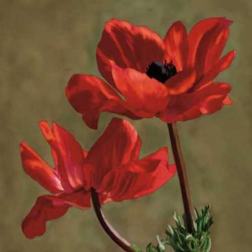 Brilliance I Poster Print by Janel Pahl - Item # VARPDXPLP133