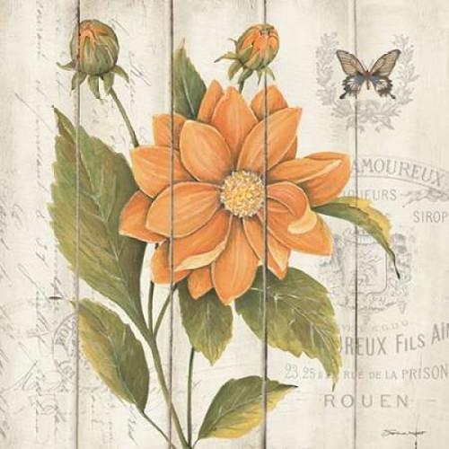 Victorian Dahlia Poster Print by Stephanie Marrott - Item # VARPDXSM157124