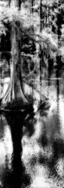 Trenton Cyprus Panel II Poster Print by Alan Hausenflock - Item # VARPDXPSHSF819