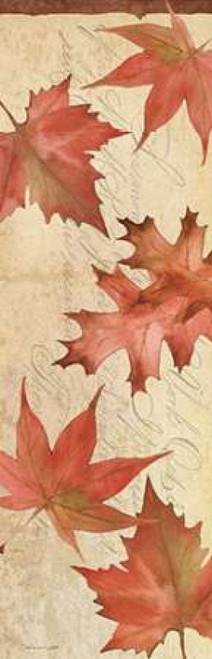 Autumn Collage III Poster Print by Stephanie Marrott - Item # VARPDXSM158066