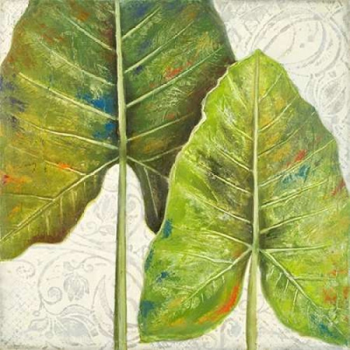 Mafafa II Poster Print by Patricia Pinto - Item # VARPDX8530