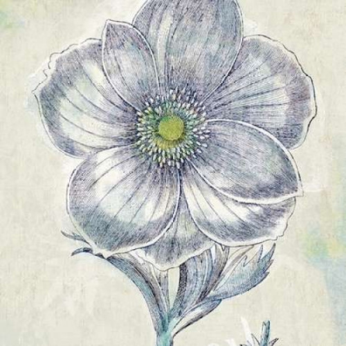 Belle Fleur II Poster Print by Sue Schlabach - Item # VARPDX20084