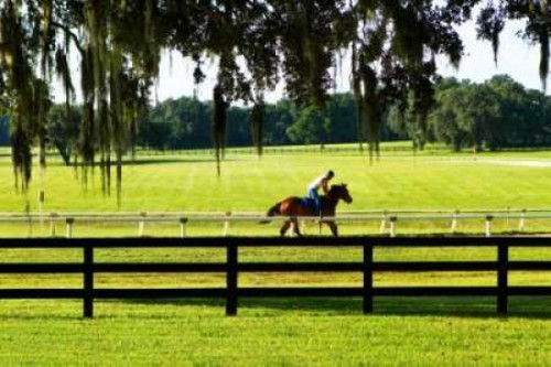 Training Day I Poster Print by Alan Hausenflock - Item # VARPDXPSHSF447