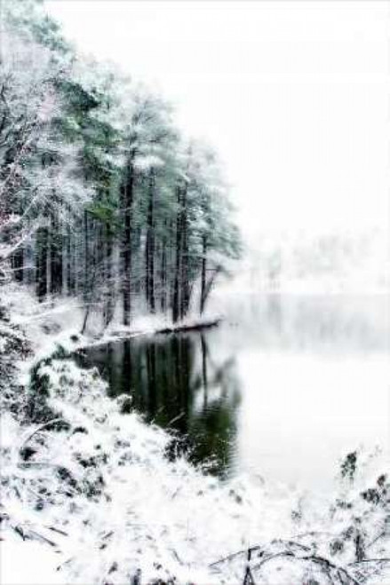 Shelly Lake in Winter II Poster Print by Alan Hausenflock - Item # VARPDXPSHSF109