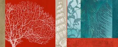 Nautical Finds I Poster Print by Elizabeth Medley - Item # VARPDX8972A