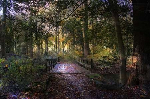 Beyond The Wooden Bridge Poster Print by John Rivera - Item # VARPDXR1038D